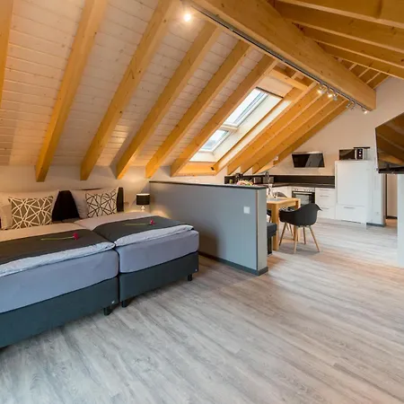 Apartment Premium-wohnung Dach-loft Bei Fam Horster